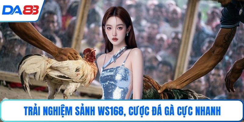 Trải nghiệm Sảnh WS168, cược đá gà cực nhanh